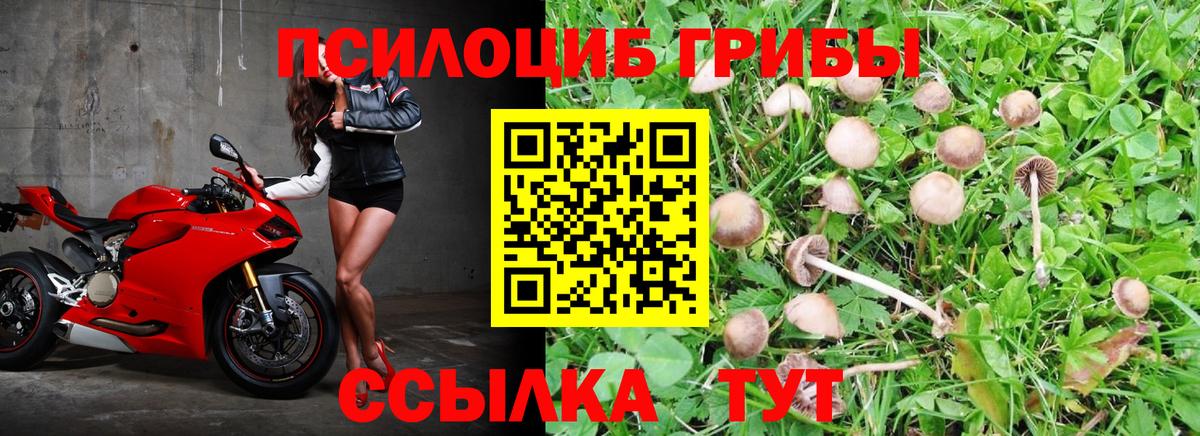 Псилоцибиновые грибы Magic Shrooms Анапа