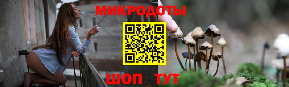 Анапа  наркотики  Вход с VPN  Псилоцибиновые грибы мицелий 